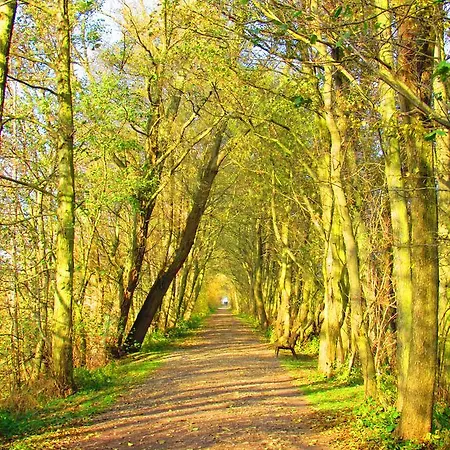 Ow Podczele Ii Vakantiepark *