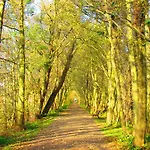 Ow Podczele Ii Ferienpark *