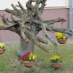 Ow Podczele Ii Ferienpark