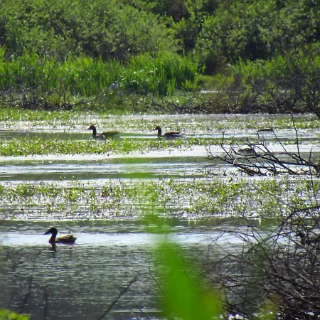 Village de vacances Ow Podczele Ii Kołobrzeg